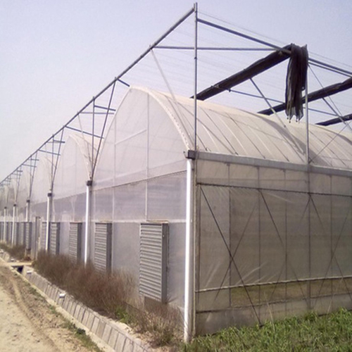 儋州文洛式玻璃温室